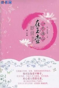 一片冰心在玉壶