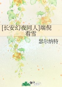 [長安幻夜同人]端倪看雪