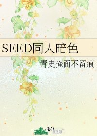 SEED同人暗色